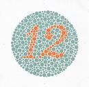 Color Vision Test