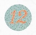 Color Vision Test