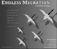 Endless Migration